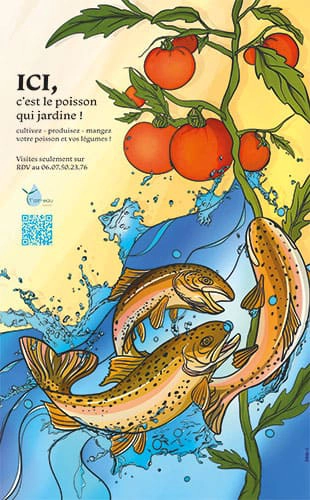 affiche - illustration - aquaponie - truite arc-en-ciel - agriculture - ferme - graphiste et illustratrice