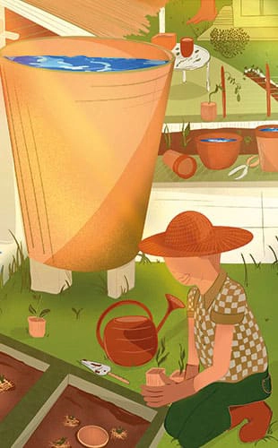 illustration - jardinage - plantation - permaculture